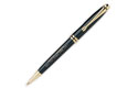 "Whitney" Pen